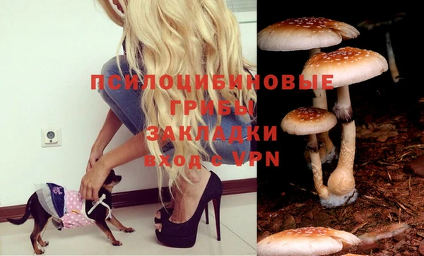 Альфа ПВП Михайловка