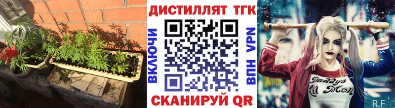 закладки  Анадырь  ТГК концентрат 