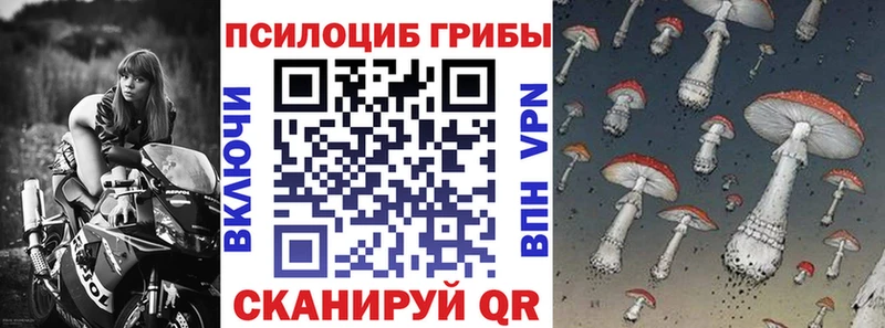 Псилоцибиновые грибы прущие грибы  Анадырь 